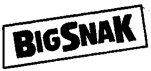 BIGSNAK