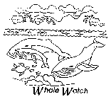 WHALE WATCH