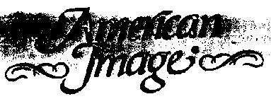 AMERICAN IMAGE
