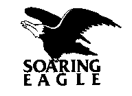 SOARING EAGLE