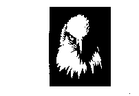 Image Trademark