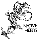 NATIVE HERBS