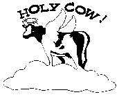 HOLY COW!