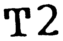 T2
