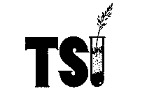 TSI