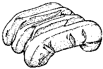 Image Trademark