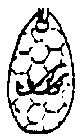B B