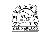 CABOODLE & CO.