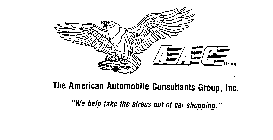 AAC GROUP THE AMERICAN AUTOMOBILE CONSULTANTS GROUP, INC. 