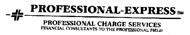 PROFESSIONAL-EXPRESS PROFESSIONAL CHARGE SERVICES FINANCIAL CONSULTANTS TO THE PROFESSIONAL FIELD