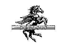 PEGASUS