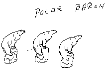 POLAR BARON