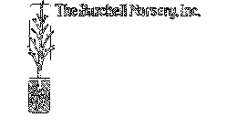 THE BURCHELL NURSERY, INC.