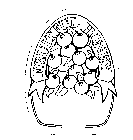 FRUITFUL HONEY 