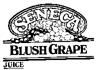 SENECA BLUSH GRAPE JUICE