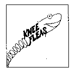 KNEE FLEAS