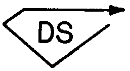 DS