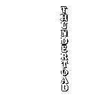 THUNDERTOAD