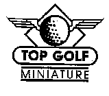 TOP GOLF MINIATURE