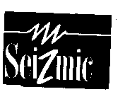 SEIZMIC