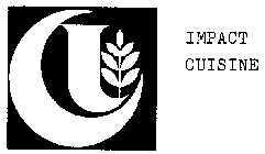 IMPACT CUISINE