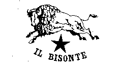 IL BISONTE