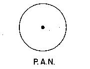 P.A.N.