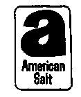 A AMERICAN SALT