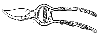 Image Trademark