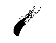 BRUSH STROKES