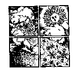 Image Trademark