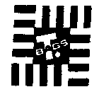 T. BAGS