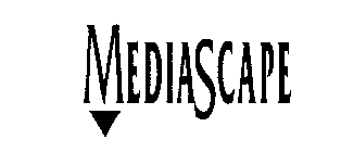 MEDIASCAPE