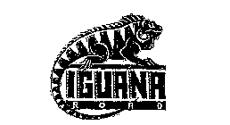 IGUANA ROAD