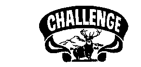 CHALLENGE