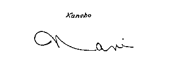 KANEBO NAVI