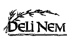 DELI NEM