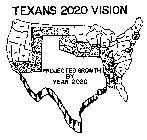 TEXANS 2020 VISION PROJECTED GROWTH BY YEAR 2020