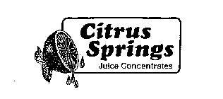 CITRUS SPRINGS JUICE CONCENTRATES