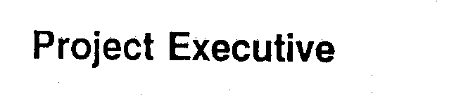 PROJECT EXECUTIVE