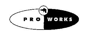 PRO WORKS