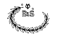 B&S