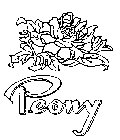PEONY