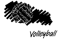 VOLLEYBALL