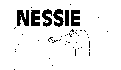 NESSIE