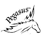 PEGASUS