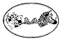 ORIGINAL ZOOLACES
