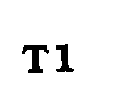 T1