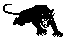 THE BLACK PANTHER PARTY