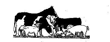 Image Trademark